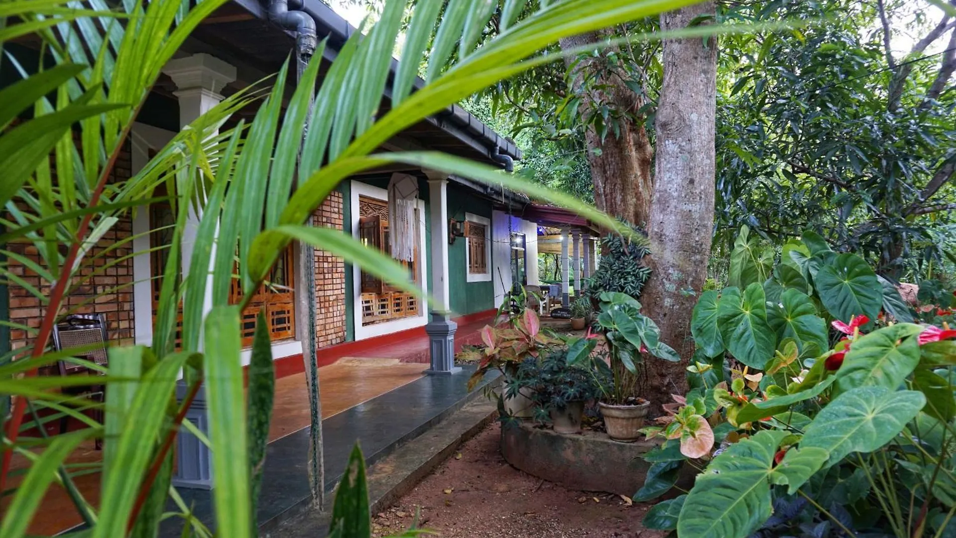 Sunrise Villa Pidurangala Sigiriya Bed & Breakfast